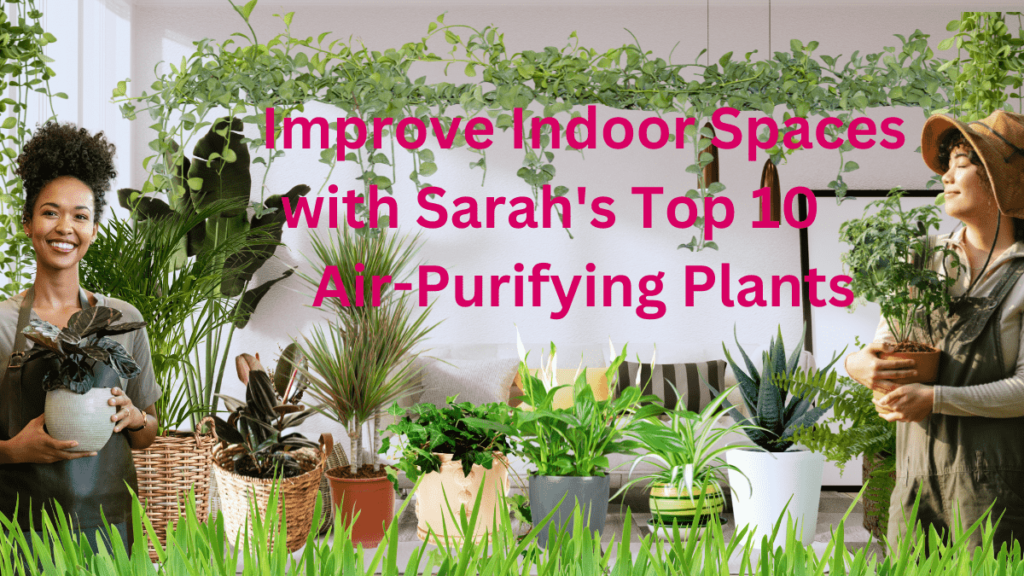 Green Living: Unveiling the Top 10 Indoor Plants for a Healthier Home