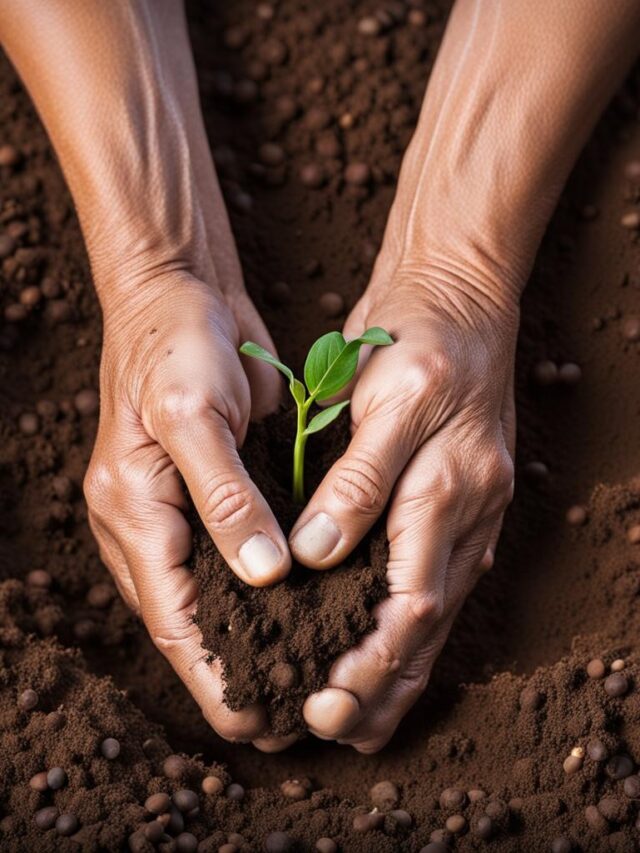 Organic Vegetable Garden Starter Kit: Your Joyful Way to Green Living